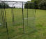Une couverture transparente pour un poulailler à pied Une couverture transparente pour un poulailler à pied