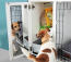 Le miroir Fido Studio permet à vos chiens de réfléchir à leur journée !