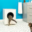 Chat grimpant dans Maya mobilier pour litière de chat