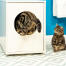 Chat grimpant dans Maya meuble de la litière du chat avec un autre chat qui regarde Chat grimpant dans Maya meuble de la litière du chat avec un autre chat qui regarde
