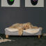 Chien couché sur Omlet Topology lit pour chien avec topper en peau de mouton et Gold pieds de rail