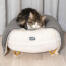 Chat dormant sur Omlet Maya lit pour chat en Snowboule blanche avec Gold pieds en épingle à cheveux et Omlet Lux urious cat blanket