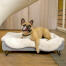Chien couché sur Omlet Topology lit pour chien avec surmatelas en peau de mouton et pieds ronds en bois Chien couché sur Omlet Topology lit pour chien avec surmatelas en peau de mouton et pieds ronds en bois