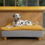 Chien couché sur Omlet Topology lit pour chien avec pouf et pieds ronds en bois