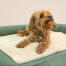 Chien couché sur Omlet lit pour chien en mousse à mémoire de forme avec Luxcouverture douce pour chien ury Chien couché sur Omlet lit pour chien en mousse à mémoire de forme avec Luxcouverture douce pour chien ury