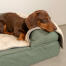 Votre chien profitera d'un repos sans égal grâce à la couverture de luxe extra douce pour chiens. Votre chien profitera d'un repos sans égal grâce à la couverture de luxe extra douce pour chiens.