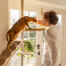 Chat reniflant l'homme sur Freestyle arbre à chat du sol au plafond Chat reniflant l'homme sur Freestyle arbre à chat du sol au plafond