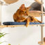 Chat couché sur un coussin bleu tissé de Freestyle arbre à chat du sol au plafond Chat couché sur un coussin bleu tissé de Freestyle arbre à chat du sol au plafond