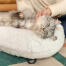 Chat couché et se faisant chatouiller sur Omlet Maya donut lit pour chat dans Snowboule pieds en épingle à cheveux blancs et noirs
