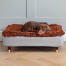 Teckel dormant sur Topology lit pour chien avec surmatelas en microfibre et pieds en bois recouverts de laiton