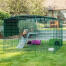 Omlet Zippi parc pour lapins avec Zippi plateformes, abri vert Zippi et deux lapins