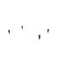 Topology lit pour chien capuchon en laiton pieds en bois Topology lit pour chien capuchon en laiton pieds en bois