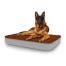 Chien assis sur un grand lit pour chien Topology avec surmatelas en microfibre