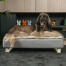 Grâce à son matelas de qualité et sa gamme de surmatelas, Topology est le lit idéal pour les chiens de tous âges, des chiots aux seniors.