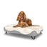 Chien assis sur un lit pour chien en mousse à mémoire de forme Topology avec surmatelas en peau de mouton facile à nettoyer et pieds noirs en épingle à cheveux. Chien assis sur un lit pour chien en mousse à mémoire de forme Topology avec surmatelas en peau de mouton facile à nettoyer et pieds noirs en épingle à cheveux.