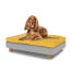 Petit chien assis sur un lit pour chien de taille moyenne Topology avec un rembourrage en forme de sac de haricots et des pieds ronds en bois.