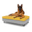 Chien assis sur un grand lit pour chien Topology avec une couverture en forme de pouf et des pieds en épingle à cheveux en métal noir.