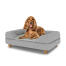 Chien assis sur un lit pour chien de taille moyenne Topology avec traversin gris et pieds ronds en bois