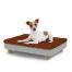 Chien assis sur un petit lit pour chien Topology avec surmatelas en microfibre et pieds ronds en bois