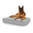 Chien assis sur un grand lit pour chien Topology avec dessus matelassé