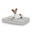 Chien assis sur un petit lit pour chien Topology avec dessus matelassé Chien assis sur un petit lit pour chien Topology avec dessus matelassé