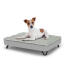 Chien assis sur un petit lit pour chien Topology avec dessus matelassé et pieds en épingle à cheveux en métal noir. Chien assis sur un petit lit pour chien Topology avec dessus matelassé et pieds en épingle à cheveux en métal noir.