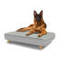 Chien assis sur un grand lit pour chien Topology avec surmatelas et pieds ronds en bois
