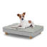 Chien assis sur un petit lit pour chien Topology avec surmatelas et pieds ronds en bois Chien assis sur un petit lit pour chien Topology avec surmatelas et pieds ronds en bois