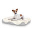 Chien assis sur un petit lit pour chien Topology avec dessus en peau de mouton Chien assis sur un petit lit pour chien Topology avec dessus en peau de mouton