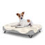 Chien assis sur un petit lit pour chien Topology avec surmatelas en peau de mouton et pieds en épingle à cheveux en métal noir. Chien assis sur un petit lit pour chien Topology avec surmatelas en peau de mouton et pieds en épingle à cheveux en métal noir.