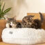 Ce lit en forme de donut peut aussi être utilisé comme un coussin pour que votre chat puisse se reposer confortablement à votre côté. Ce lit en forme de donut peut aussi être utilisé comme un coussin pour que votre chat puisse se reposer confortablement à votre côté.