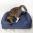 Chat mignon qui s'installe sur un traversin en mousse bleu nuit pour chat Chat mignon qui s'installe sur un traversin en mousse bleu nuit pour chat