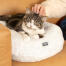 Le coussin en forme de donut garde sa forme et restera chaud et confortable pendant très longtemps. Le coussin en forme de donut garde sa forme et restera chaud et confortable pendant très longtemps.