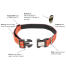 Long paws padded comfort collar details Long paws padded comfort collar details