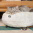Le Maya Donut est un lit de luxe pour chats avec un coussin bien rembourré et pieds de lit personnalisables. Le Maya Donut est un lit de luxe pour chats avec un coussin bien rembourré et pieds de lit personnalisables.