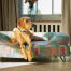 Un retriever se reposant sur le lit pour chien à traversin électrique pawsteps