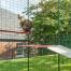 Chat assis sur une étagère imperméable rouge pour chat dans un catio extérieur Chat assis sur une étagère imperméable rouge pour chat dans un catio extérieur