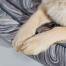 Détail de patte sur un lit nid Omlet dans le motif gris contour