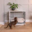 Teckel qui grimpe dans Omlet Fido Studio meubles de caisse pour chien