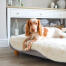 Topology lit pour chien avec sur-matelas en peau de mouton blanche