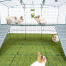 Omlet Zippi parc pour lapins avec Zippi plates-formes, Caddi support pour friandises et lapins