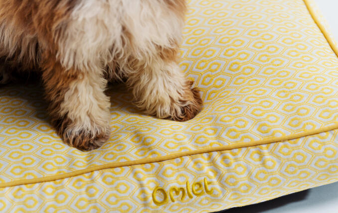 Gros plan sur le coussin pour chien Honeycomb Pollen.
