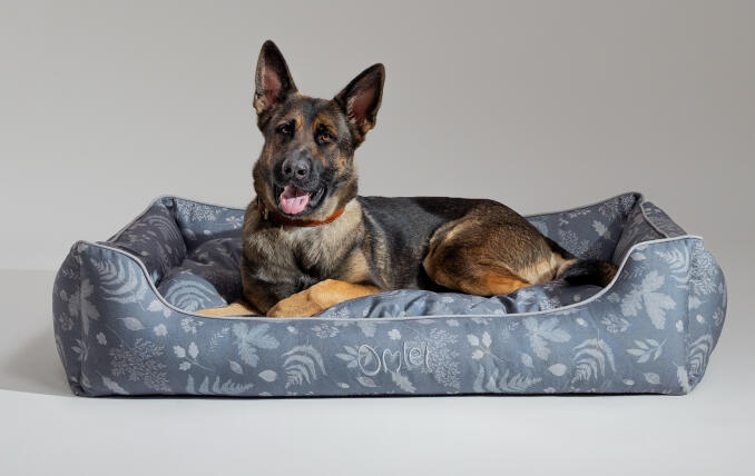 Berger allemand couché sur un grand nid douillet pour chien Omlet