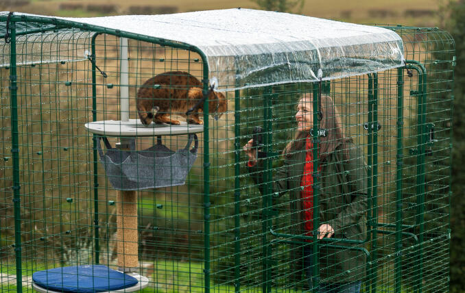 Propriétaire interagissant avec son chat dans une course Omlet avec protection contre les intempéries.