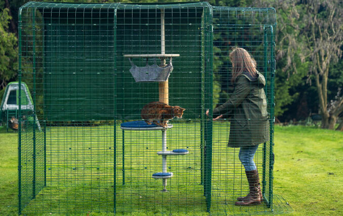 Propriétaire ouvrant la porte de son enclos pour chats en plein air personnalisable.