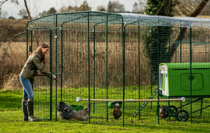 Propriétaire ouvrant la porte de son entrée avec des poulets et un poulailler Eglu Cube .