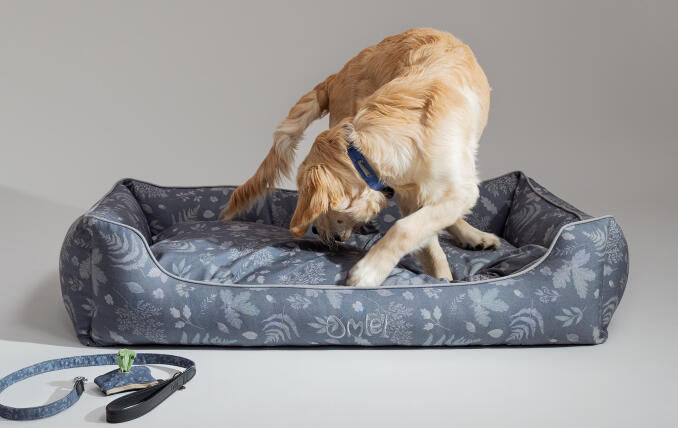 Retriever sur un grand nid douillet pour chien Omlet, fabriqué dans le respect de l’environnement