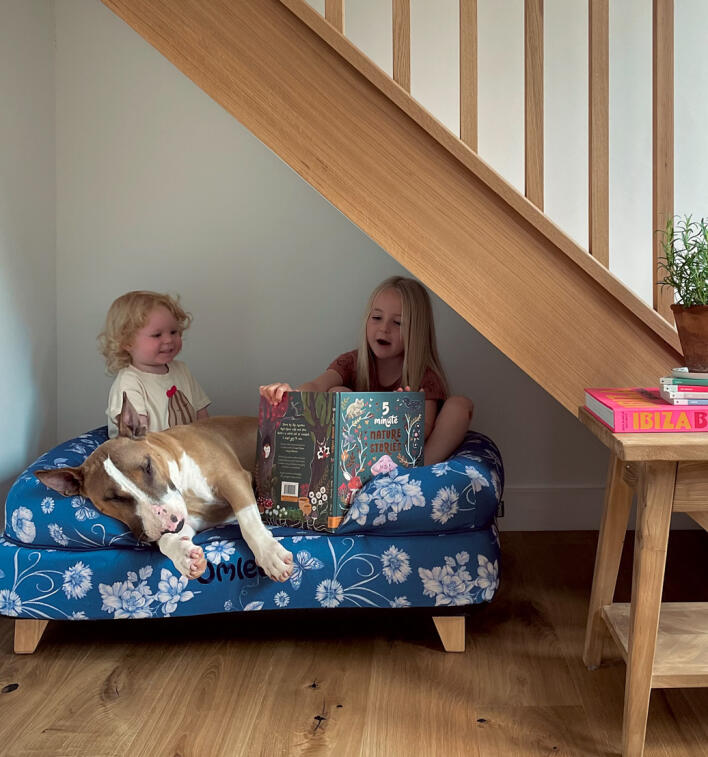 Enfant lisant à son chien sur un lit de chien en mousse à mémoire de forme