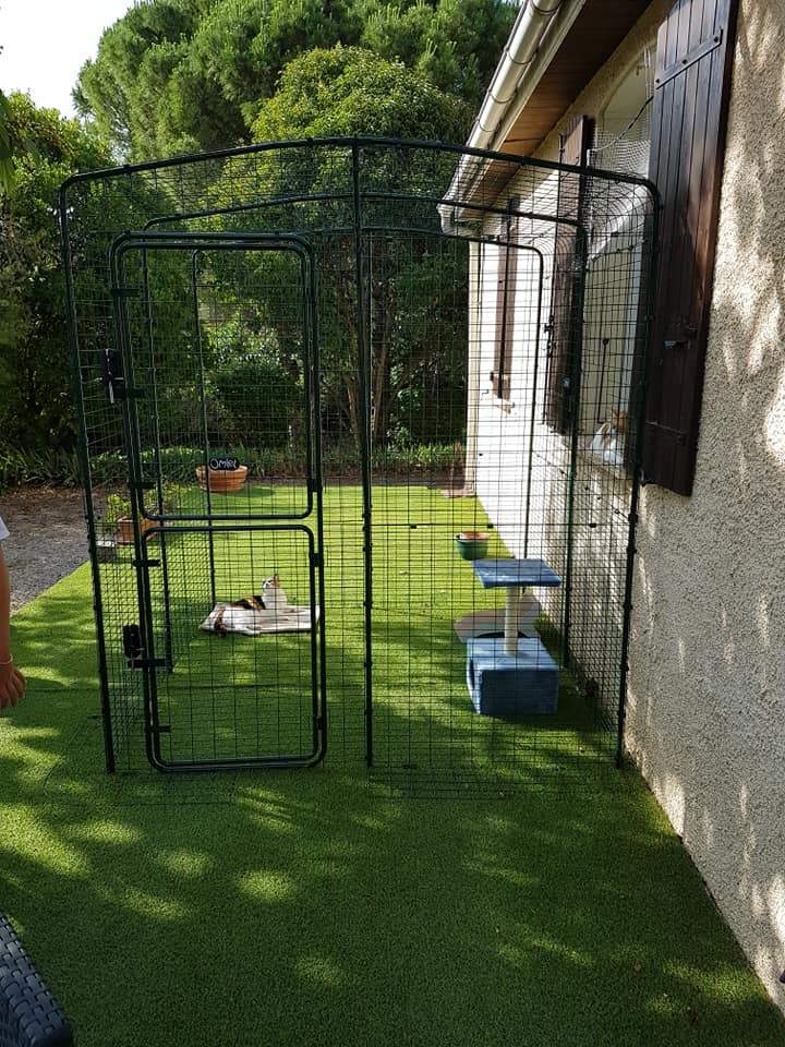 Grand Enclos Pour Chats Grand Enclos d