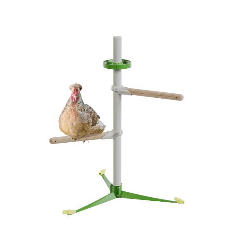 Perchoir pour poules sur pied – Kit Printemps